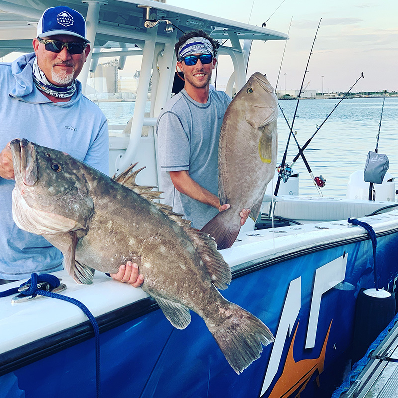 Deep Sea Fishing About Anglers Envy Grouper Fishing Charters